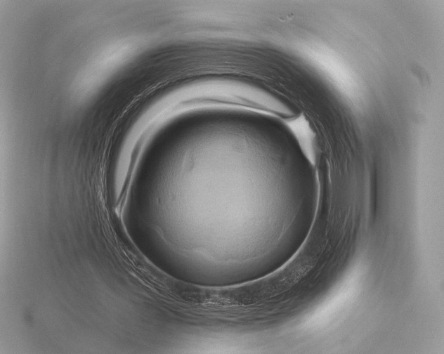 X0000116280387200912141353