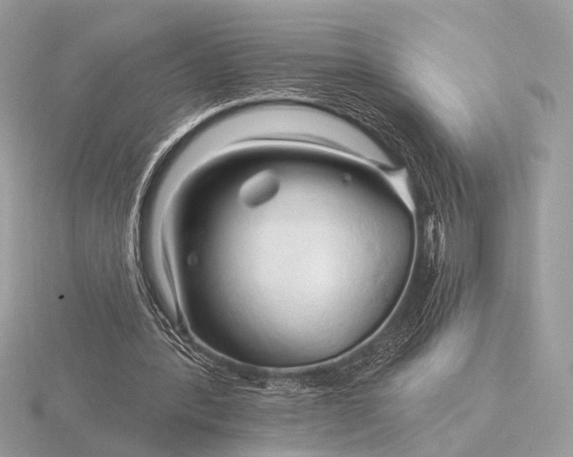 X0000116280388200912141353