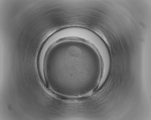 X0000116280389200912141353