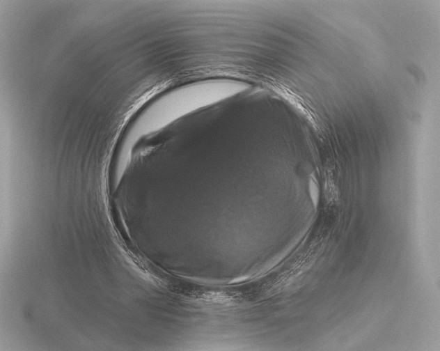 X0000116280390200912141353