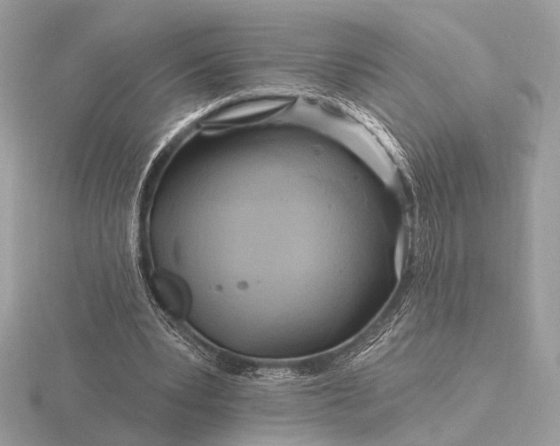 X0000116280391200912141353