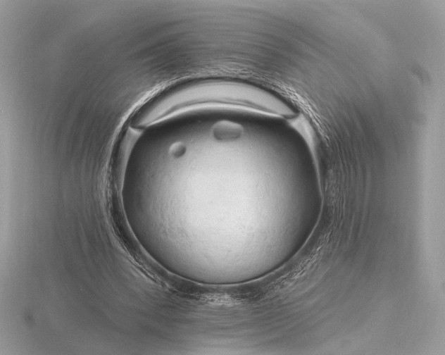 X0000116280392200912141353