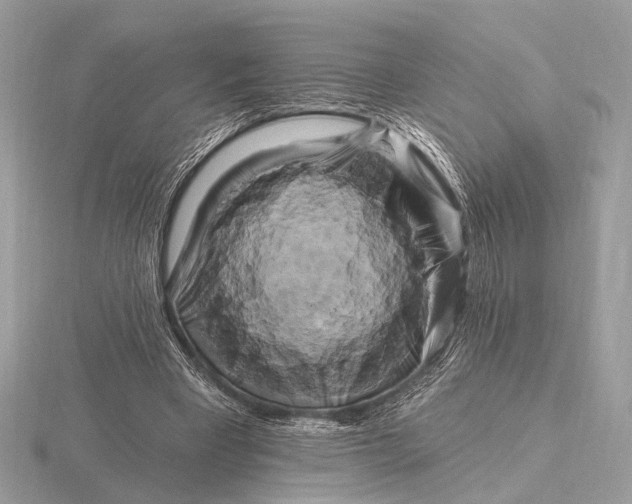 X0000116280393200912141353