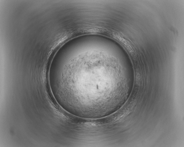 X0000116280394200912141353