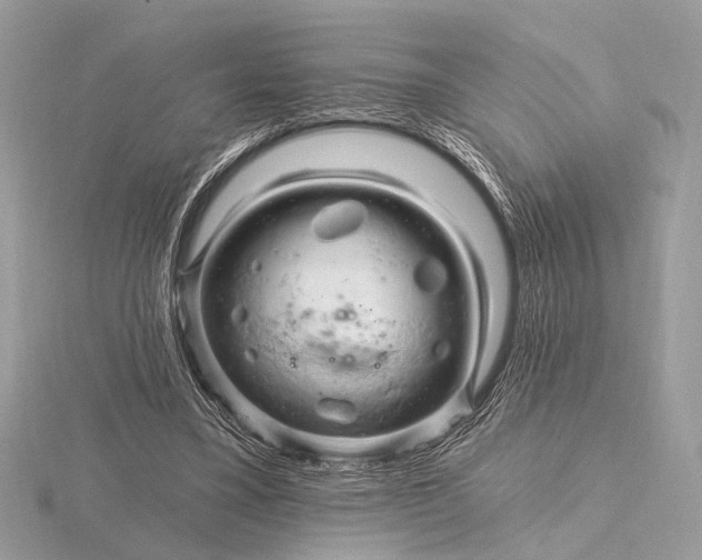 X0000116280395200912141353