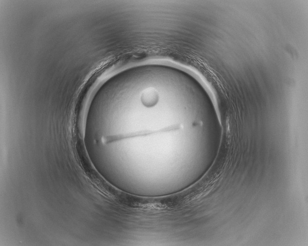 X0000116280396200912141353