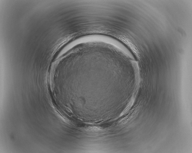 X0000116280397200912141353