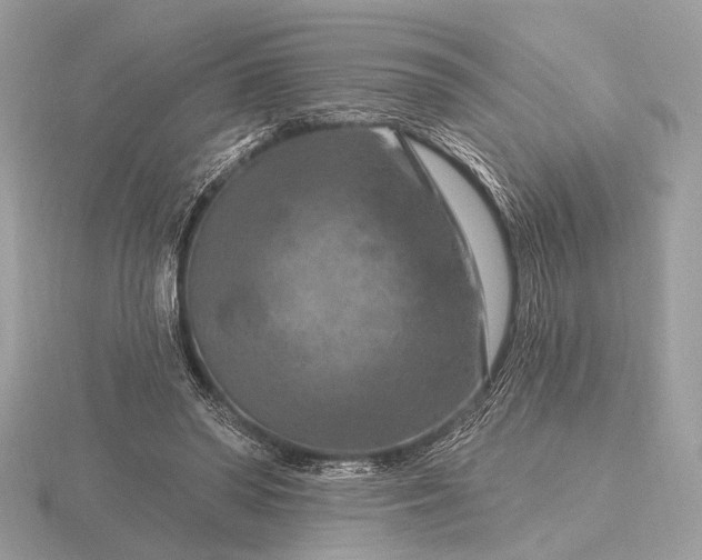 X0000116280398200912141353