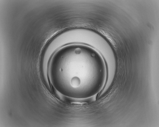 X0000116280399200912141353