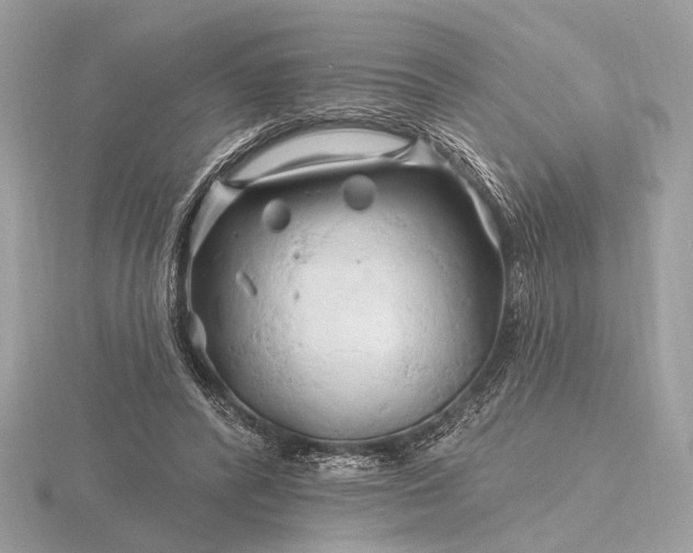 X0000116280400200912141353