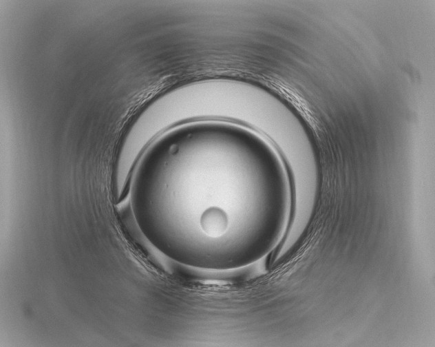 X0000116280401200912141353