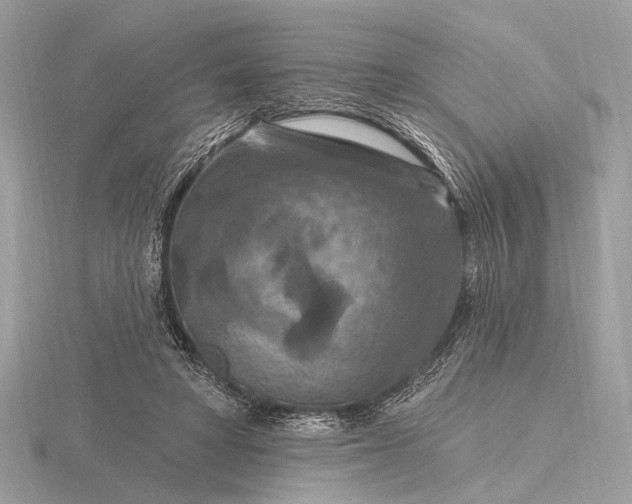 X0000116280402200912141353