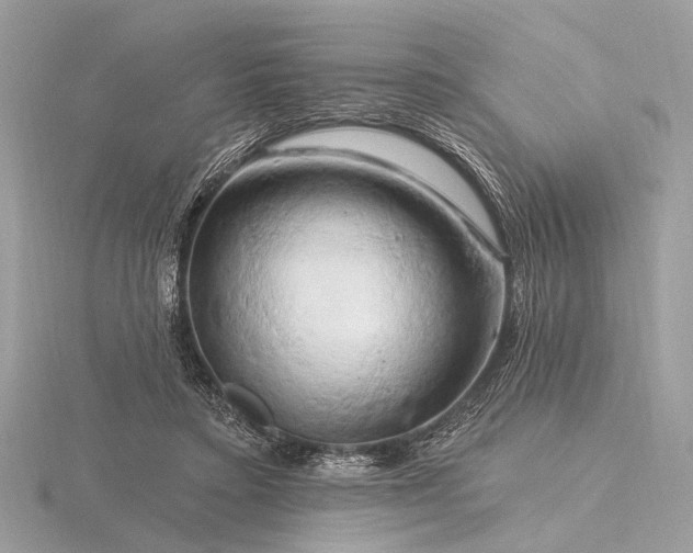 X0000116280403200912141353