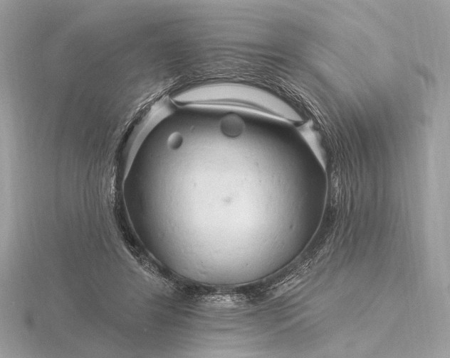 X0000116280404200912141353