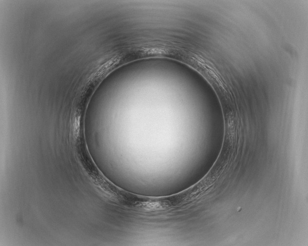 X0000116280406200912141353