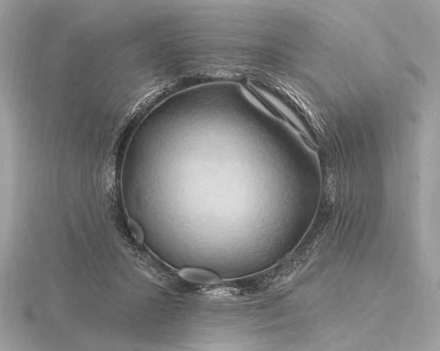 X0000116280407200912141353