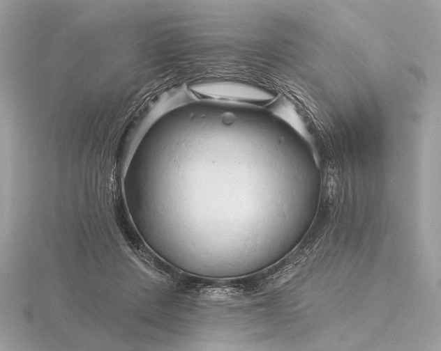 X0000116280408200912141353