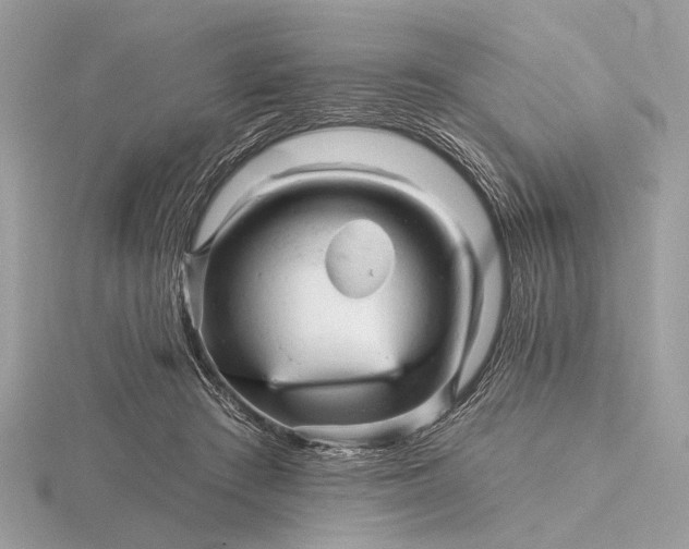 X0000116280409200912141353