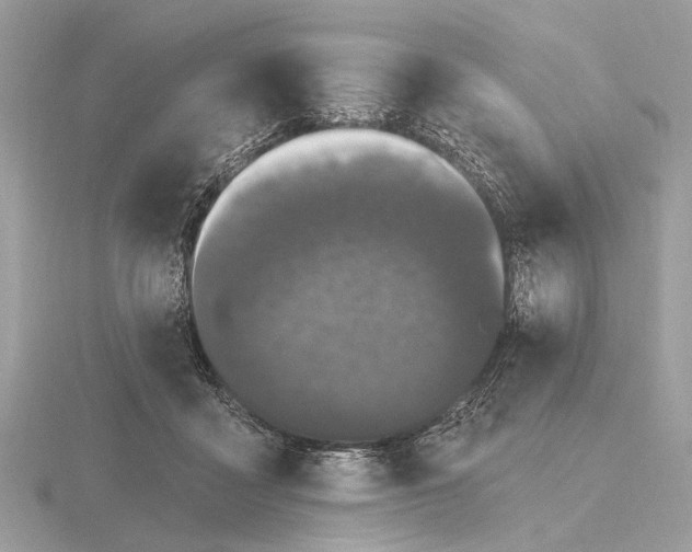 X0000116280411200912141353