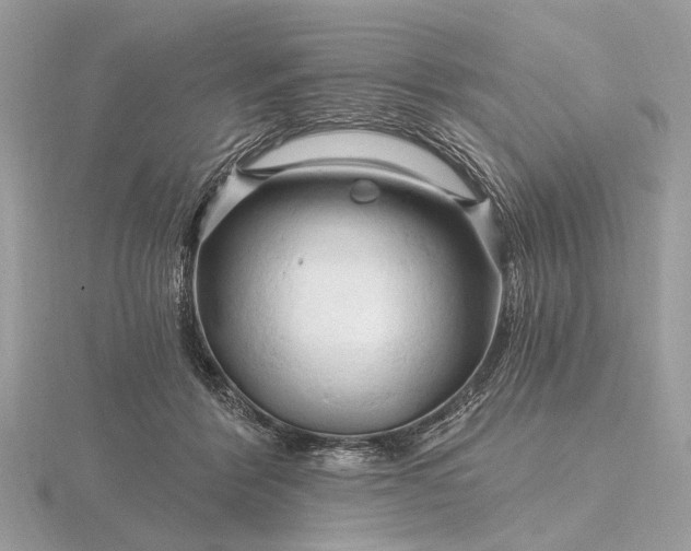 X0000116280412200912141353