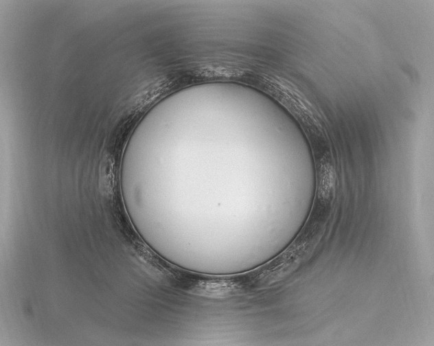 X0000116280414200912141353