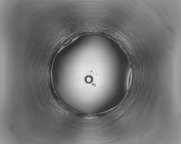 X0000116280415200912141353