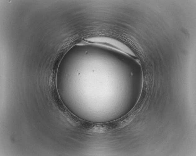 X0000116280416200912141352