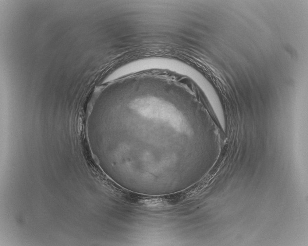 X0000116280417200912141352