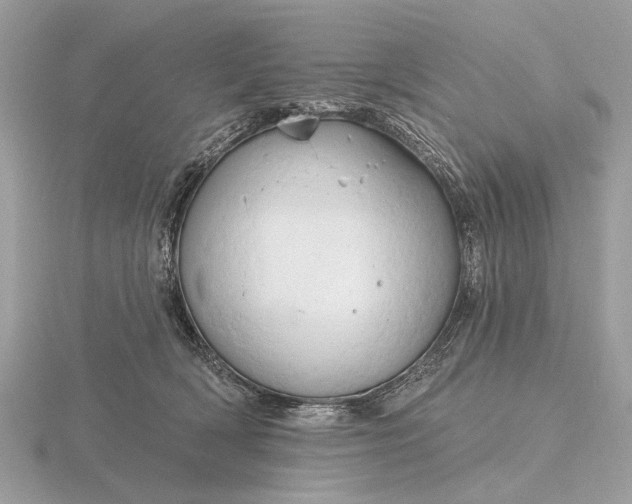 X0000116280418200912141352