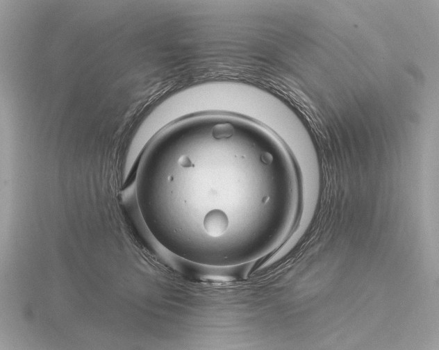 X0000116280419200912141352