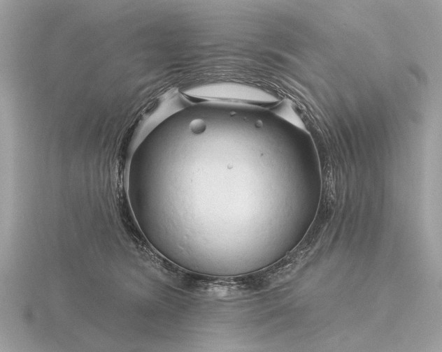 X0000116280420200912141352