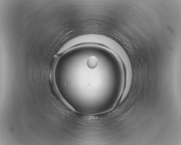 X0000116280421200912141352