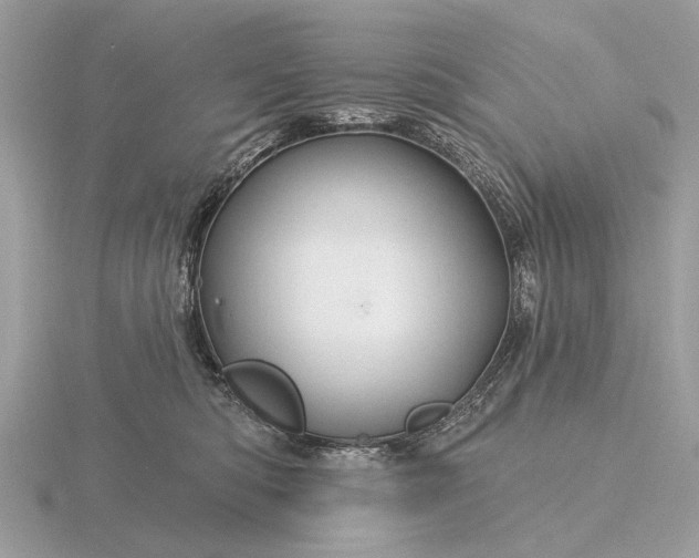 X0000116280422200912141352