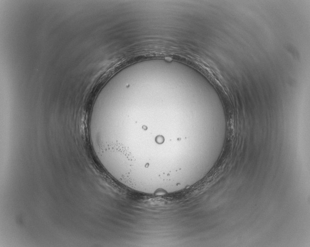 X0000116280423200912141352