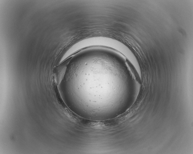 X0000116280424200912141352