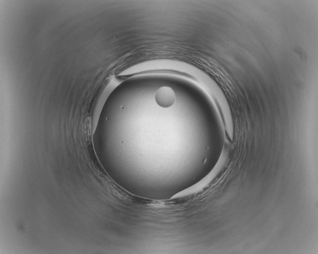 X0000116280425200912141352