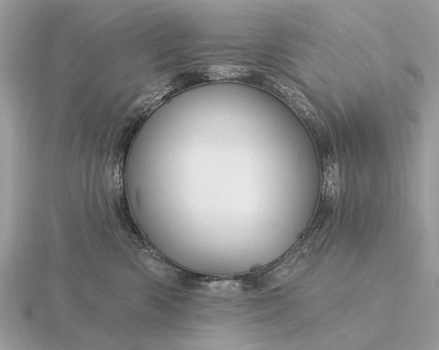 X0000116280426200912141352