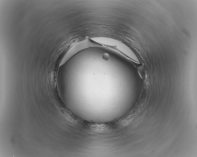 X0000116280428200912141352