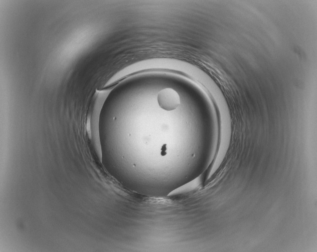 X0000116280429200912141352