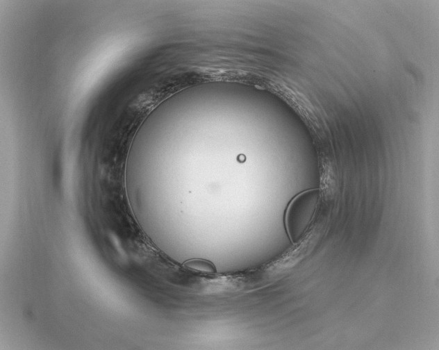 X0000116280430200912141352