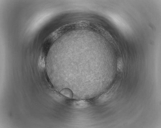 X0000116280431200912141352