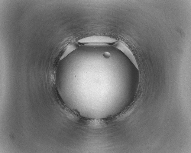 X0000116280432200912141352