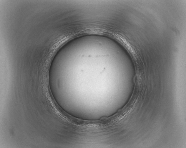 X0000116280433200912141352