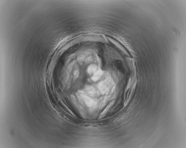 X0000116280434200912141352