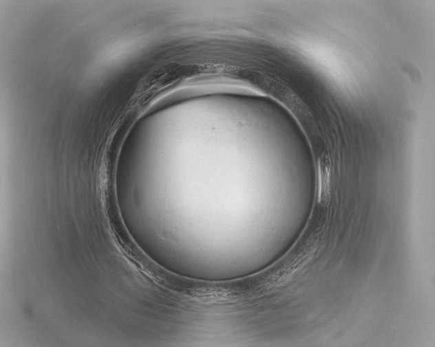 X0000116280435200912141352