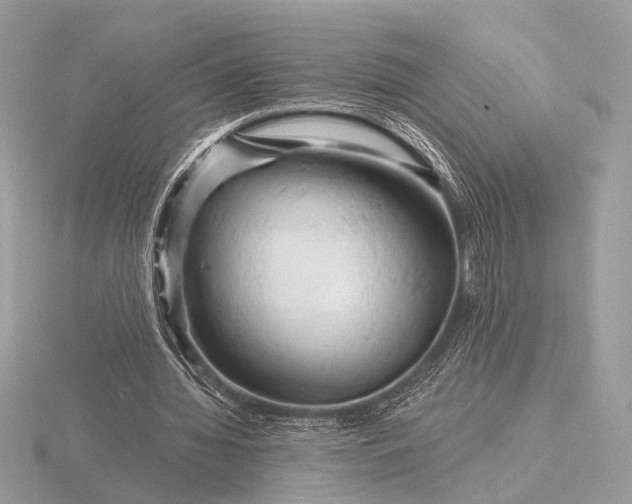 X0000116280436200912141352