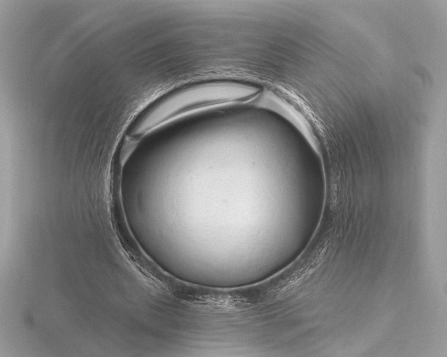 X0000116280439200912141352