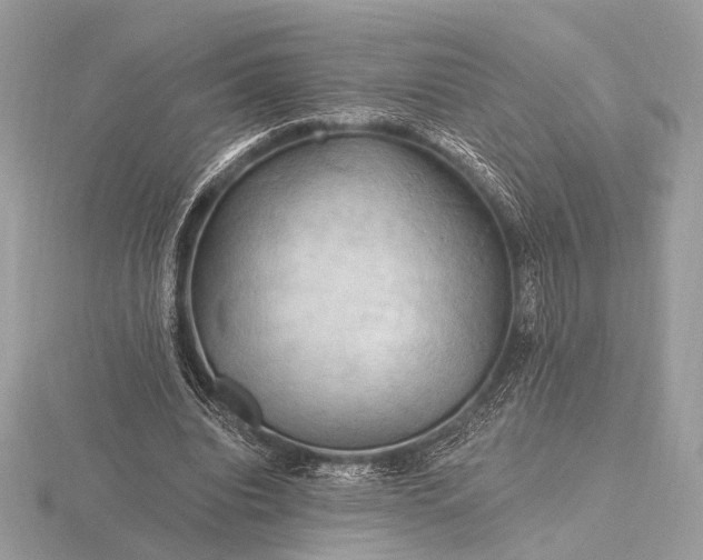 X0000116280440200912141352