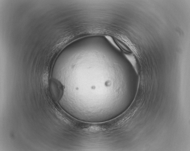 X0000116280441200912141352