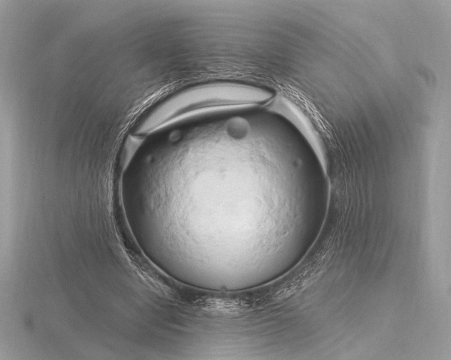 X0000116280442200912141352